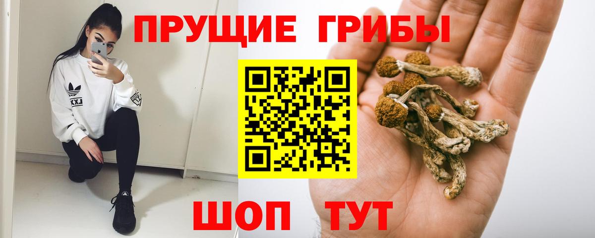 Псилоцибиновые грибы MAGIC MUSHROOMS Родники